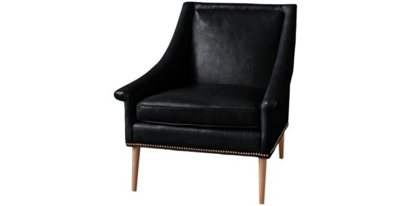 Cornis Leatherette Lounge Chair in Black Colour