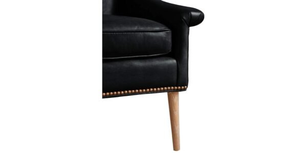 Cornis Leatherette Lounge Chair in Black Colour