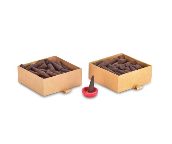 PHOOL LUXURY INCENSE Devotion Pack Of 2 Natural Incense Cones | Fragrance - Tulsi & Jasmine | Special Char Dham Yatra Pack | 80 Natural & Organic Dhoop Cones For Pooja | Free Dhoop Stand Inside
