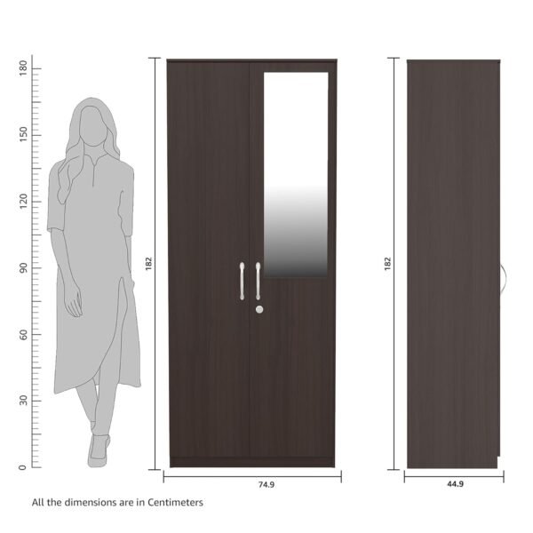 Amazon Brand - Solimo Medusa Engineered Wood 2 Door Wardrobe with Drawer and Mirror (Wenge Finish)