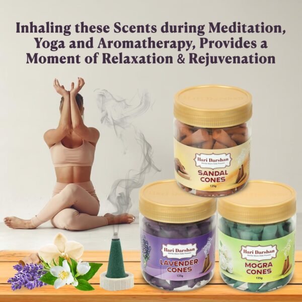 Hari Darshan Dhoop Cones Combo 3 Fragrance Sandal, Mogra,Lavender -125g Each, Organic Dry Dhoop, Long Lasting Fragrance for Daily Pooja,Meditation and Yoga