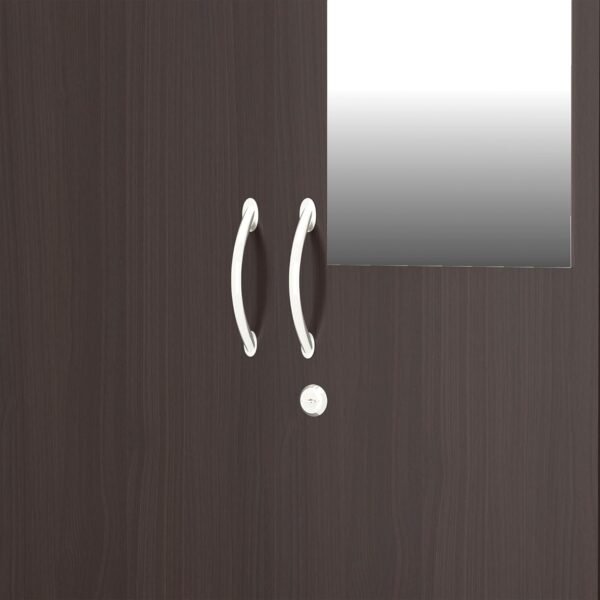 Amazon Brand - Solimo Medusa Engineered Wood 2 Door Wardrobe with Drawer and Mirror (Wenge Finish)