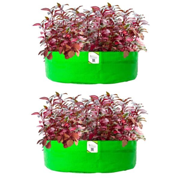 ORGANIC BAZAR 24x9 Leafy Grow Bag for Terrace Garden, Premium HDPE 260 GSM Green Plant Bags (Pack of 2)