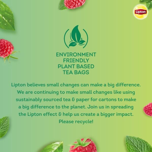 Lipton Raspberry Mint I 25 Tea Bags I Tasty Green Tea I Reduce Belly Fat