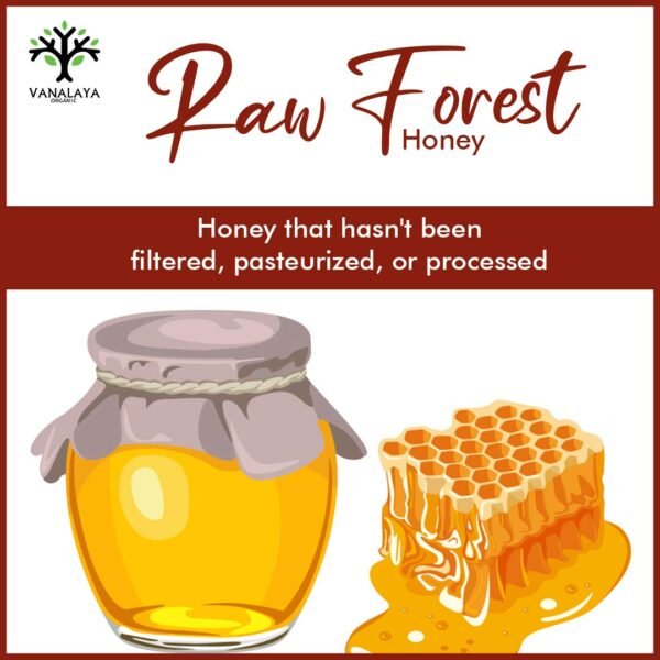 Vanalaya Forest Honey Raw Unprocessed Unpasteurized Pure natural organic honey for weight loss (500Gm)