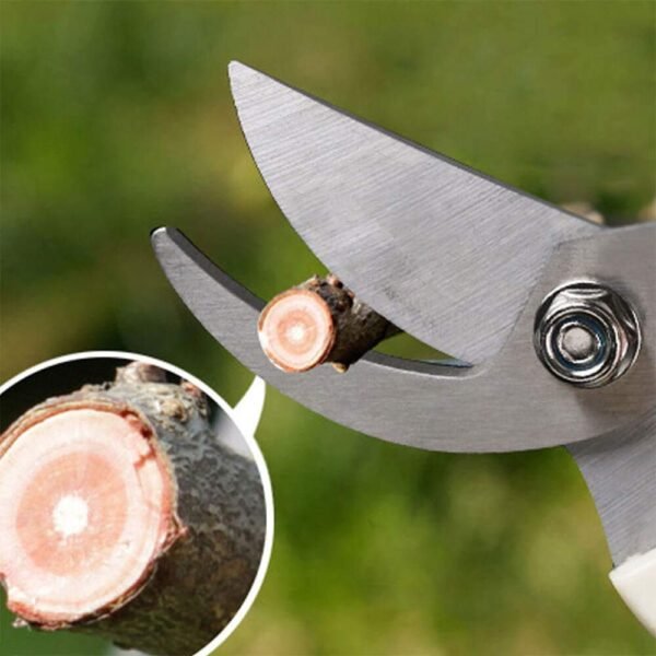 Kraft Seeds by 10CLUB Pruning Shear Cutter - 1 Pc (Bypass Iron Pruner) | All Purpose Garden Tool with Smart Lock | Plant Cutter for Home Garden | Wood Branch Trimmer | Grass Cutting Accessories