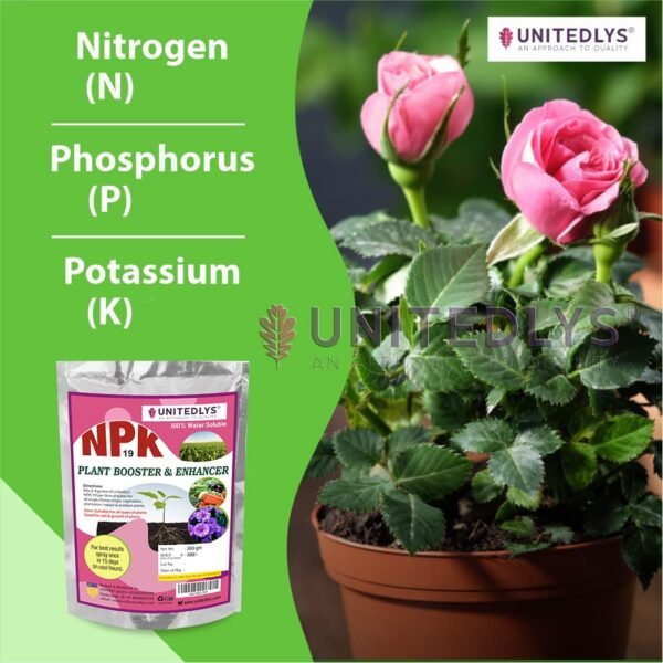 Unitedlys Npk 19 Fertilizer Powder For Plants 380Gms With Seeds Including Dhaniya, Palak & Methi | Plant Food For Maximum Growth Boost & Production | Ideal For Home, Garden & Outdoor Plant Care