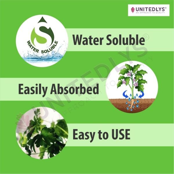 Unitedlys Npk 19 Fertilizer Powder For Plants 380Gms With Seeds Including Dhaniya, Palak & Methi | Plant Food For Maximum Growth Boost & Production | Ideal For Home, Garden & Outdoor Plant Care