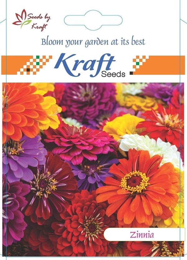 Kraft Seeds by 10CLUB Zinnia Dahlia Flower Seeds (1 Packet, Mix 1gm) Fragrant Flowering Plants Seeds for Home Gardening | Natural and Real Planting Seeds for Indoor Home Decor