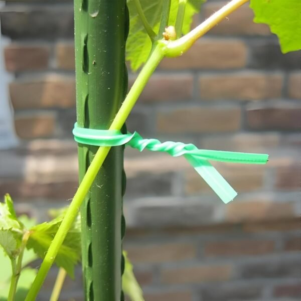 Oblivion Plastic Twist Tie Wire Spool with Cutter for Garden Yard Plant 50m (Green)