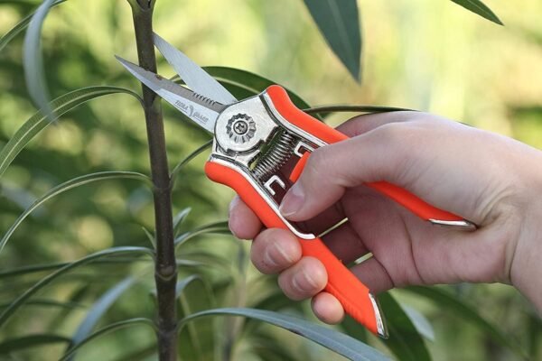 Garden Art Heavy Duty 6.5Inch Garden Bypass Pruning Shears|Stainless Steel With Teflon Coating Blade|Tree Trimmers Secateurs,Plant Cutter For Gardening Scissors,Plant Branch Cutter For Tree GAHC058-2