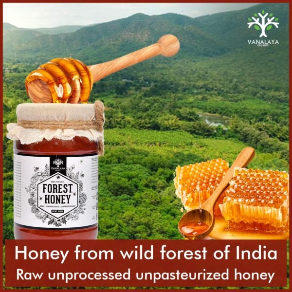 Vanalaya Forest Honey Raw Unprocessed Unpasteurized Pure natural organic honey for weight loss (500Gm)