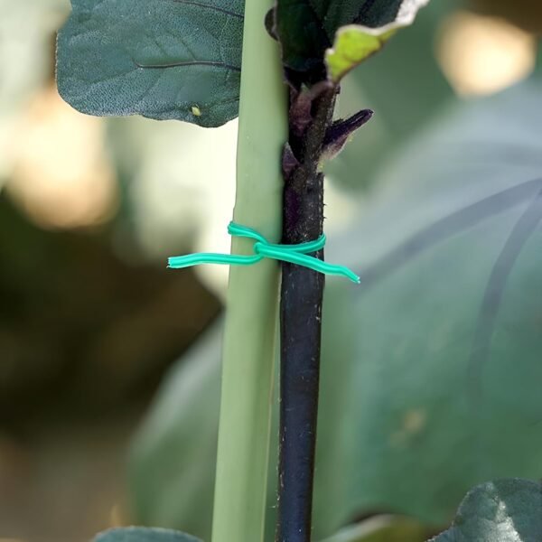 Oblivion Plastic Twist Tie Wire Spool with Cutter for Garden Yard Plant 50m (Green)