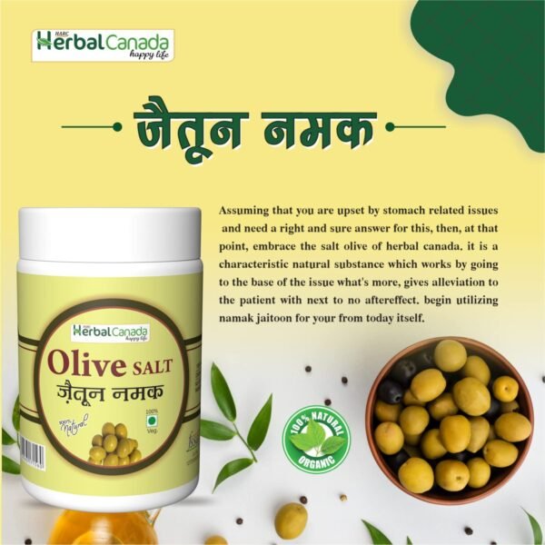 Harc Herbal Canada Jaitoon Namak | 100% Pure Helpful for Boost Immunity (Olive salt - 100g+ 20g Extra)