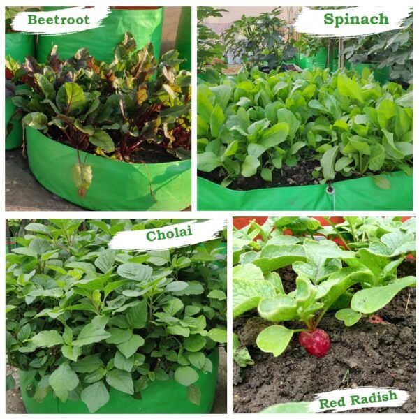 ORGANIC BAZAR 24x9 Leafy Grow Bag for Terrace Garden, Premium HDPE 260 GSM Green Plant Bags (Pack of 2)