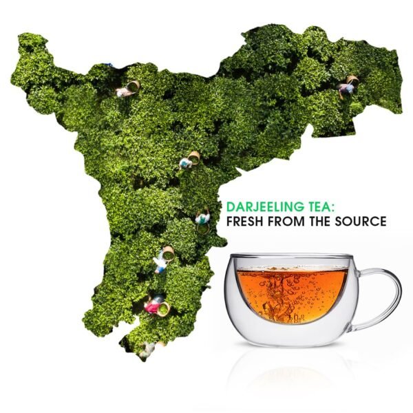 Teabox Darjeeling Green Tea Sampler Bags 100 Tea Bags (10pcs X 10 flavors) | 100% Natural | 0% Bitterness | Immunity Boosting Sampler Pack | From The Himalayas