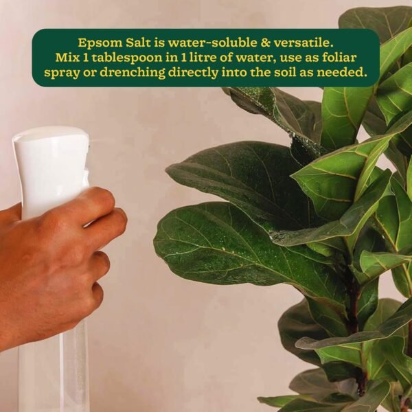 Ugaoo Epsom Salt for Plants Growth - Magnesium Sulphate Organic Fertilizer - 1 Kg |Powder