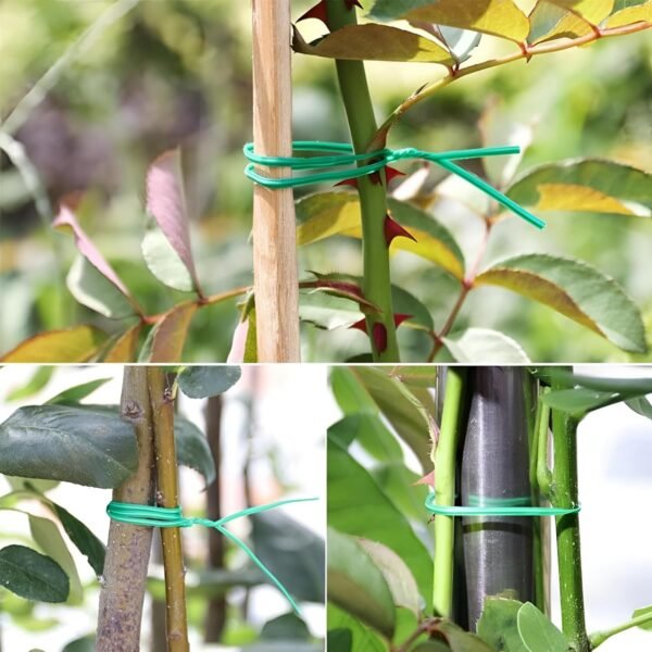Oblivion Plastic Twist Tie Wire Spool with Cutter for Garden Yard Plant 50m (Green)