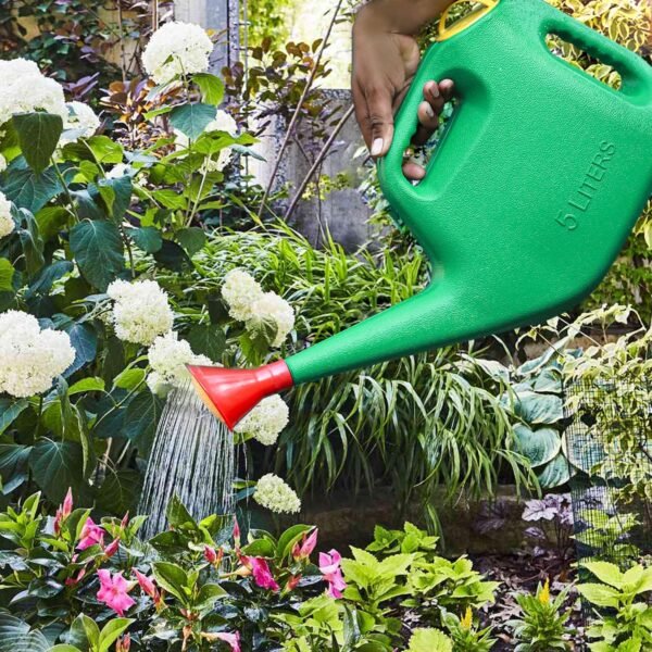 Klassic Watering Can (5L) | Plastic Green Water Can with Sprayer for Plants/Garden | Indoor Outdoor Watering Shower Can | Sprinkler for Plants | Watering Hand Bottles for Garden | Water Spray Can