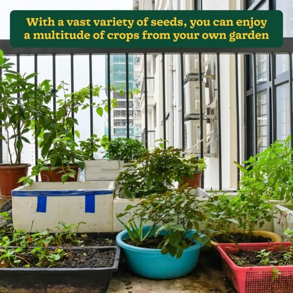 UGAOO Indian Vegetable Seeds Bank For Home Garden 50 Varieties - 2255 Seeds