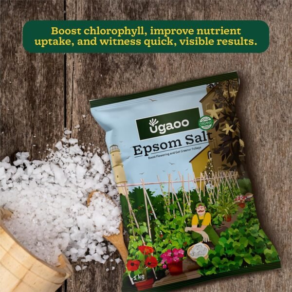 Ugaoo Epsom Salt for Plants Growth - Magnesium Sulphate Organic Fertilizer - 1 Kg |Powder