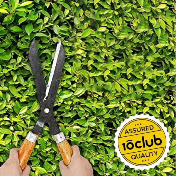 Kraft Seeds by 10CLUB Hedge Shears - 1 Pc (Iron Metal) | Hedge Shear Cutter with Wooden Handle | Hedge Pruning Shears for Lawns or Garden | Gardening Scissors for Cutting Plant Stem | Shrub Trimmer