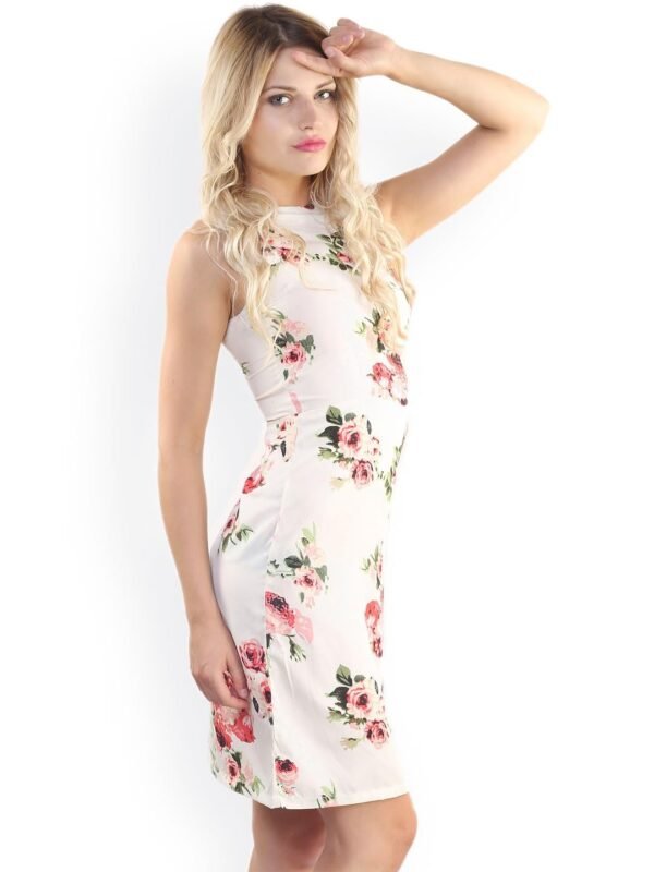 Alano Women Floral Print Short Sleeve Dress || Floral Pattern Dress for Womens || A-Line Dress || Short Sleeve Dress for Womens || Casual Women's Dresses
