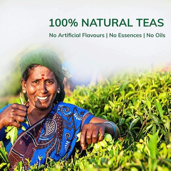 TEACURRY 28 Day Slimming Tea For Weight Loss With Free Diet Chart|100 Gms Loose Tea|Slimming Tea Helps Lose Weight,Reduce Tummy,Prevent Ageing|Weight Loss Green Tea,100 grams
